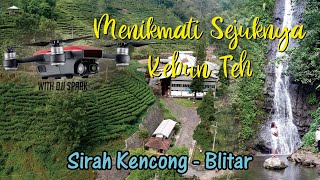 Perkebunan Teh Sirah Kencong Blitar Clipja Com Perkebunan Teh Sirah Kencong Blitar Clipja Com