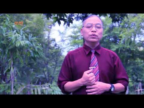 LAWMKIMA COLNEY - NI TLA NGAILO (OFFICIAL)