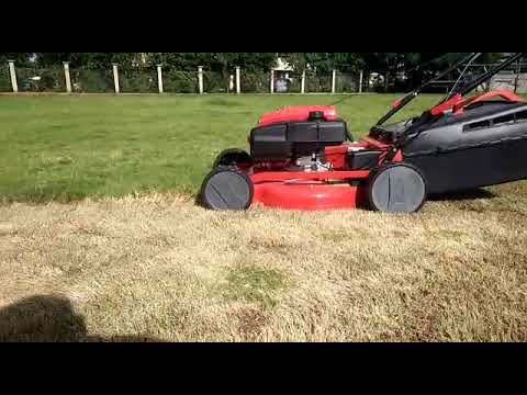 Petrol Lawn Mower / Grass cutter
