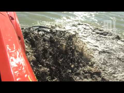 TMB TV: MT Unlimited Episode 1.4 - Part 2 of 3