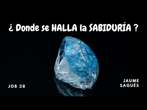 ¿Dónde se halla la sabiduría? (Job 28) | Jaume Sagués