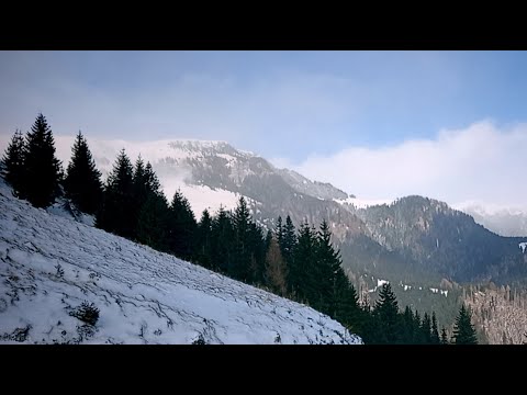 Transbucegi. Frig si viscol la Cabana Dichiu ultima zi din 2025. Muntii Bucegi