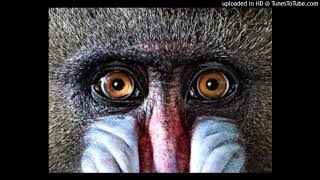 Chocolate Milk - Starbright (single version)