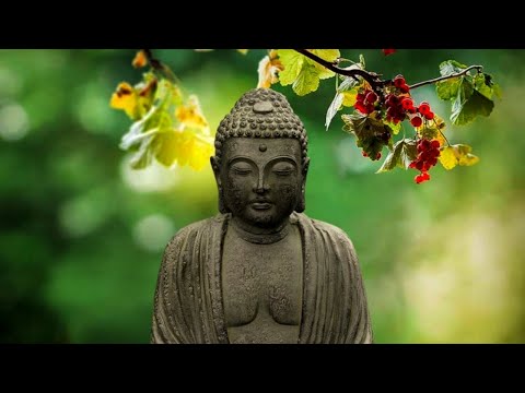 20 Minute Meditation Music • Raise Your Vibration | Relax Mind Body