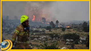 Անկառավարելի կրակ. Համա՞սն է հրկիզել Իսրայելի անտառները