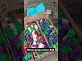 Colour Kodi Pillalu Kodi Pillalu Poultry China Kodi Pillalu Kodi Pillalu