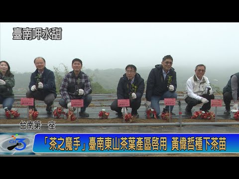 「茶之魔手」臺南東山茶葉產區啟用 黃偉哲種下茶苗
