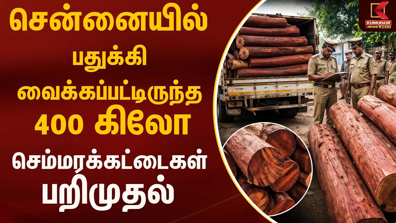 சென்னையில் பதுக்கி வைக்கப்பட்டிருந்த 400 கிலோ செம்மரக்கட்டைகள் பறிமுதல்  | Red sandal | Kumudam News