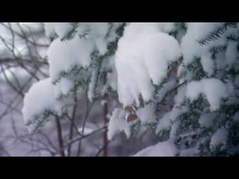 Ray Mears Northern Wilderness 5of6