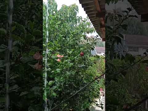 Barbosa Ferraz PR Agora Aquela Chuvona ☂️🌧️🌧️