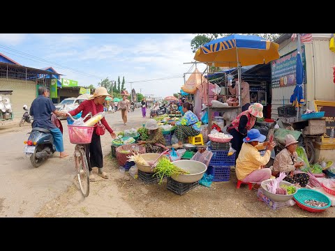 Countryside Market at Prek Takov and Phnom Oudong, Kandal Province, Cambodia Street Food Tour