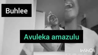 Download lagu Avuleka AmaZulu mp3
