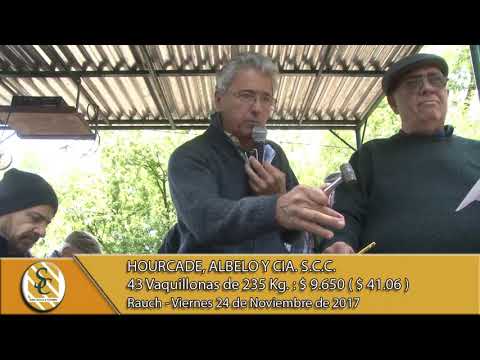 24-11-17 Venta de Hembras - Hourcade, Albelo y Cía. S.C.C. - Rauch