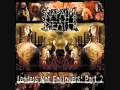 Napalm Death Troops of Doom (Sepultura cover)