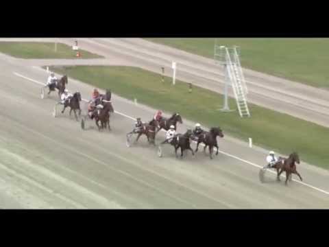 Preis der Traberfreunde_Gästefahren _Avatar Energy_Frank Degelow