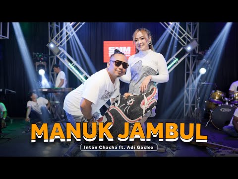 Intan Chacha feat. Adi Gaclex - Manuk Jambul (Official Music Video)