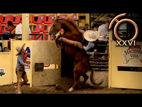 Jinetazos vs Las Pichonas - Jineteo de Yegua dia 29 agosto - Campeonato Millonario THV 2023