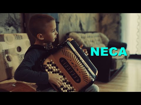 Nemanja Neca Pavlović - Necino Kolo