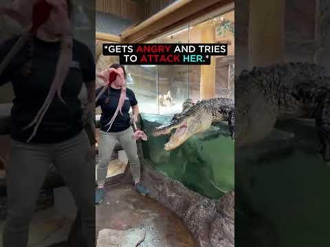 Biggest Mistake of Her Life..🐊
