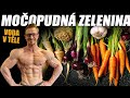 MOČOPUDNÁ ZELENINA NA ODVODNĚNÍ A ZDRAVÍ TĚLA