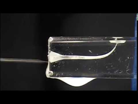 VDW Dental · How To: Reziproke Aufbereitung mit RECIPROC Feilen