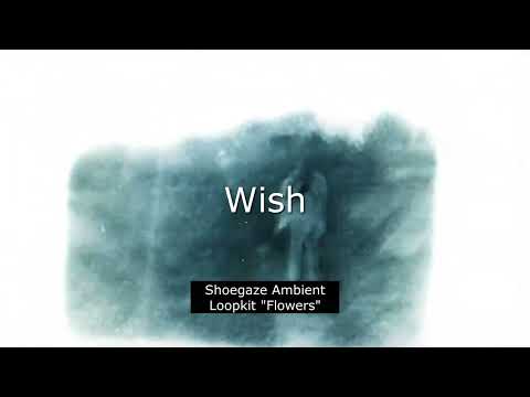 [FREE] Guitar Loopkit Shoegaze/Ambient/Deftones "Flowers" (Quannnic/Wisp/Superheaven Loopkit)