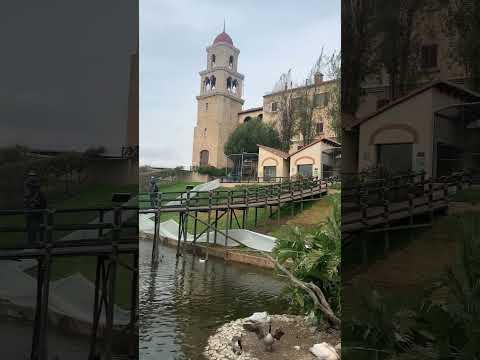 Montecasino Bird Park/South Africa /Johannesburg /#shorts