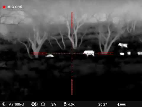 277 Sig Fury Hog Hunting. 6.8x51 Savage Axis II