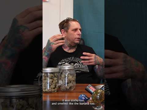 @OrgnKid tells the story of creating the Banana OG strain #CannabisHistory #ArchiveTv #OrgnKid