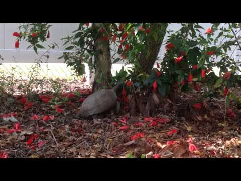 trim AB03D5BF 49D8 4124 A311 A22651FB4A5F