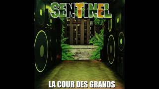 Sentinel - L'art du Rebond ( Rock n' Poche 2010 )