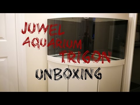 Watch Video on YouTube