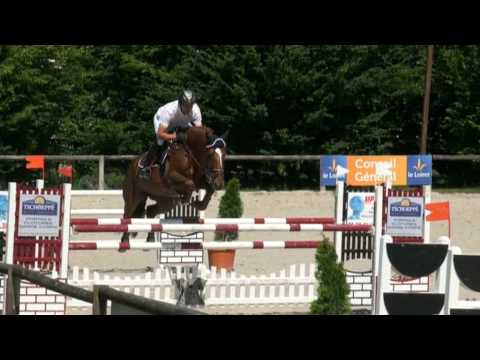 Oreade des Dames (webstallions.com)