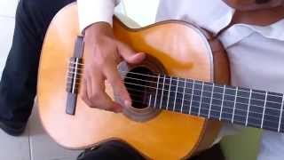 Anibal Muñoz Luthier (guitarras de concierto)