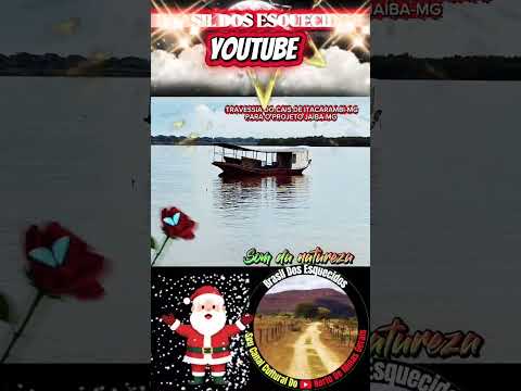 ZÉCA MATUTO DA SELVA E TRAVESSIA DE ITACARAMBI PARA PROJETO JAÍBA-MG+BRAZIL #vidanosertão