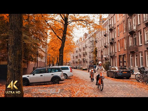 Autumn Walking Tour in Oud Zuid, Amsterdam, 4K Binaural