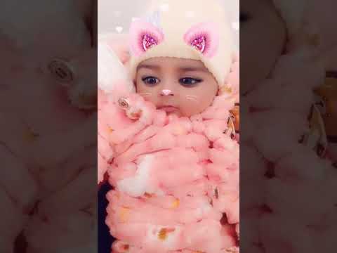 cute cat 😺🥰#shorts #youtubeshorts #tranding #cute #reaction