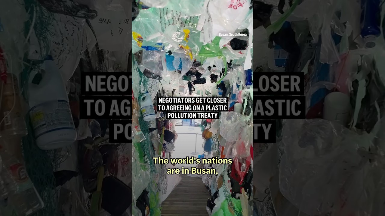 Negotiators get closer to agreeing on a plastic pollution treaty