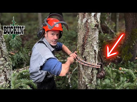 Every Woodman NEEDS This Tool In His Truck 