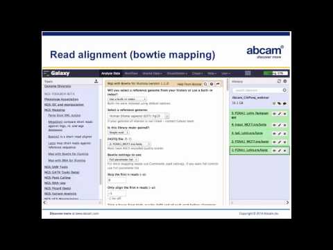 A step-by-step guide to ChIP-seq data analysis