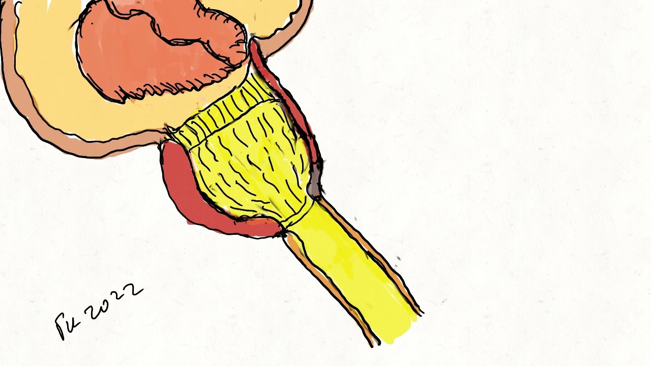 Jorge Esteban Magaña González-20