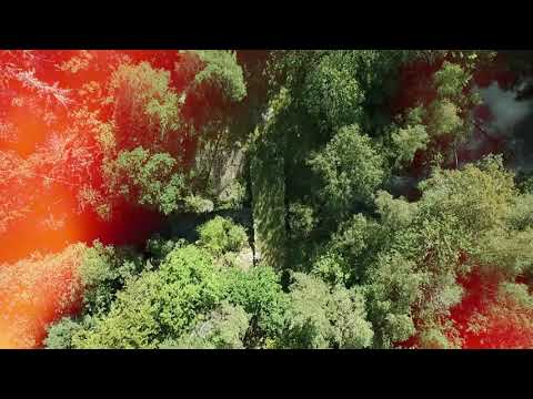 Habbazutts Julkalender 2021