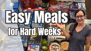 Low Effort Meals | Using what we have to save money | Budget Meals