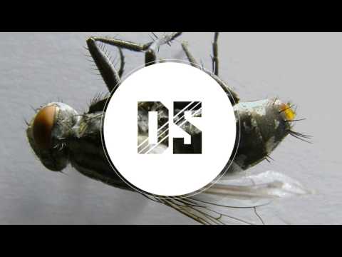 Dub Scout - Stethoscope / Fly Spray (OUT NOW!)