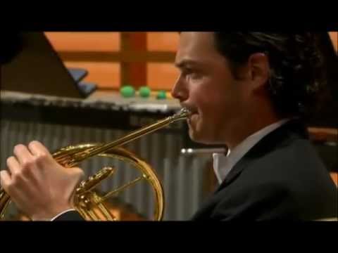 Ravel's Pavane pour une infante défunte, Horn Solo