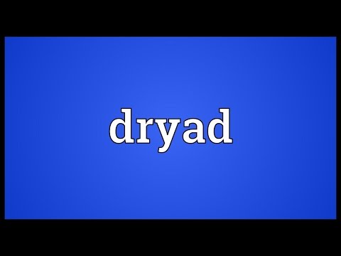 Dryad Meaning
