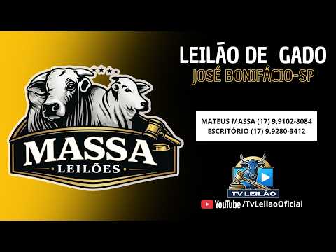 07/09/2026 - MASSA LEILÕES AO VIVO em JOSÉ BONIFÁCIO/SP | LEILÃO DE GADO