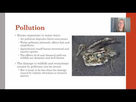 AP Env Sci Topic 9.10 Human Impacts on Biodiversity