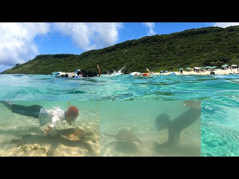 “Férias de verão em Miyakojima ~ Costa Shinshiro/2023” “Férias de verão em Miyakojima ~ Praia Aragusuku” [Tartaruga Marinha] [Snorkeling Sightseeing Travel Churaumi]