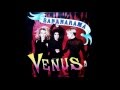 Bananarama - Venus (12" Extended Version)